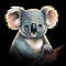 Cute Cuddly Koala